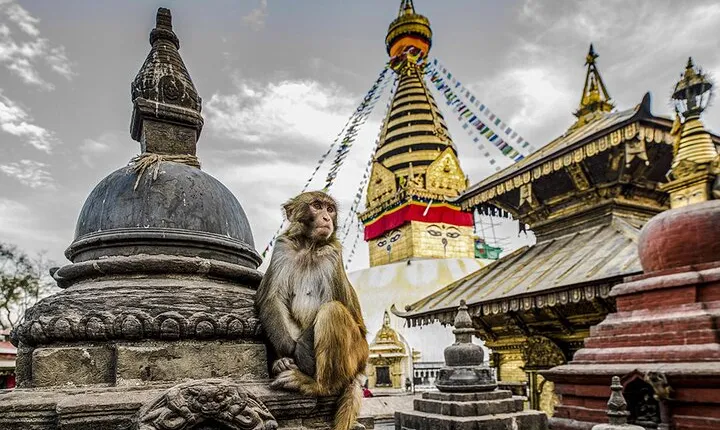 Private Kathmandu Sightseeing Tour 4 UNESCO World Heritage Sites
