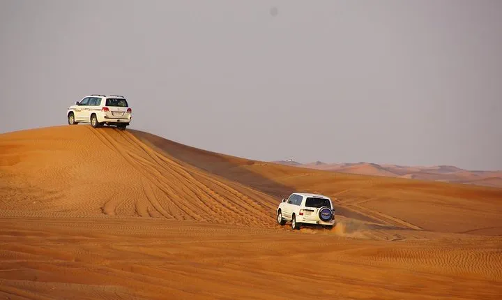 Dubai Desert Excursions with BBQ Dinner & Live Entertainment