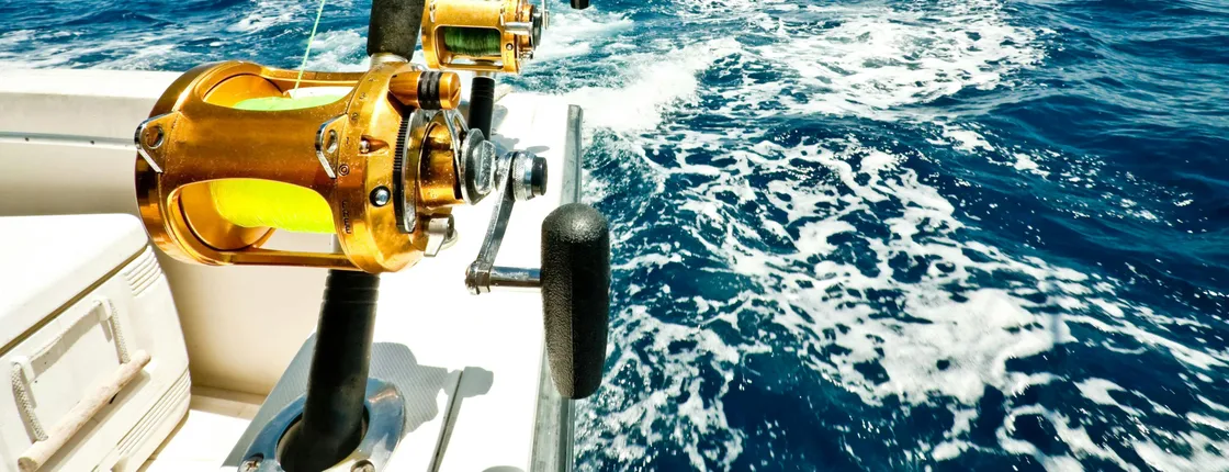 Bayahibe Speedboat Fishing Trip by Viva