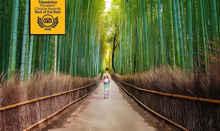Top-Rated Arashiyama Tour: Bamboo, Monkeys, Zen Garden & Secrets