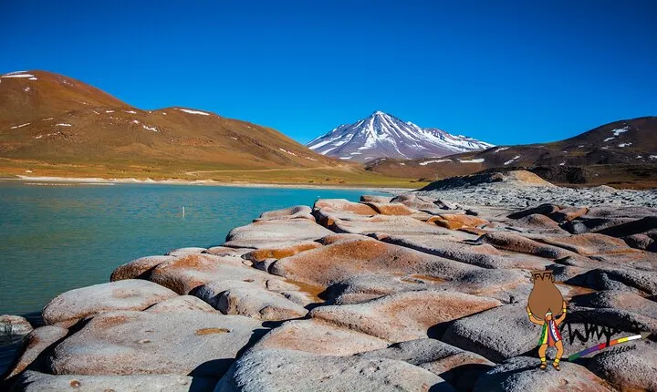 Piedras Rojas + Altiplanic Lagoons and Salar de Atacama