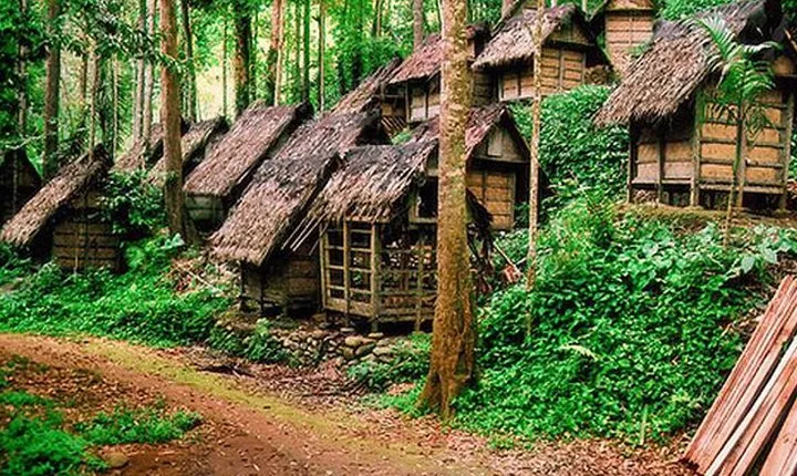 Private tour with lunch: Jakarta to Baduy tribal