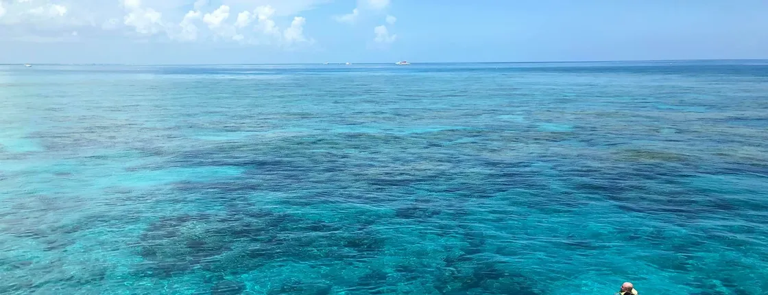 Key West sunset snorkel sail