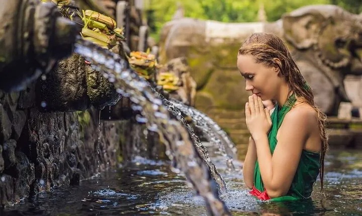 UBUD Spring Temple, Waterfall, Rice Terraces Private Tour