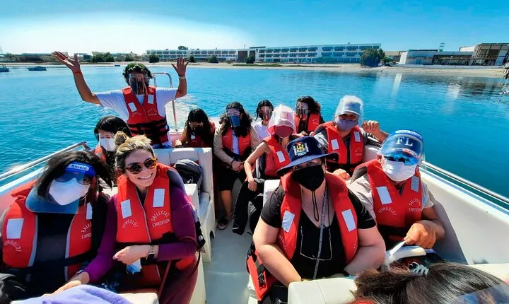 Visit to Paracas, Ballestas Islands and Huacachina