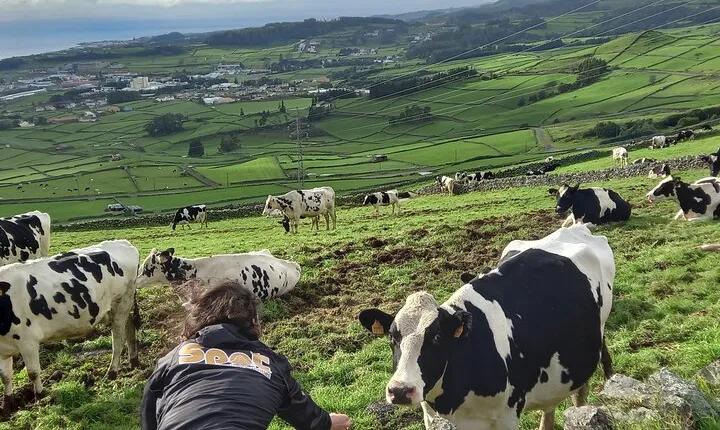 From Angra: Terceira Island Half-Day Tour (Shared Tour)