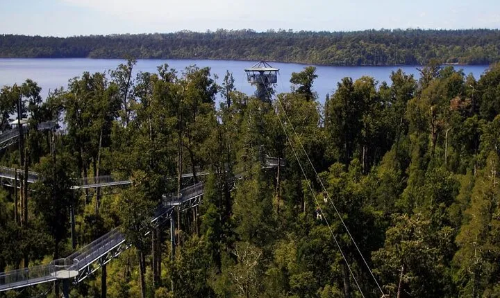 2-Hour Tower Zipline and Walkway Combo Private Guided Activity