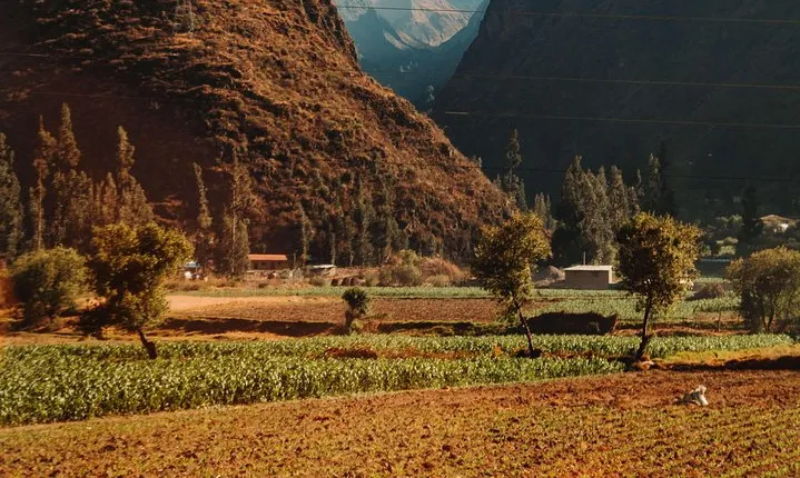 Full day Sacred Valley P'isaq and Ollantaytambo