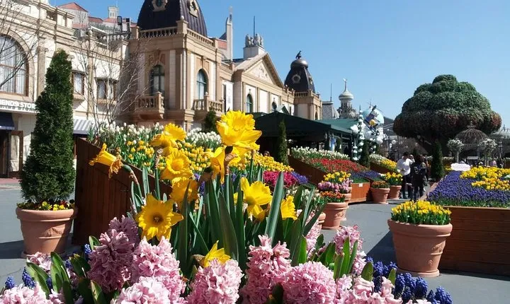 EVERLAND "From Hotel to Hotel" [Premium Private Tour: Only One Group for You]