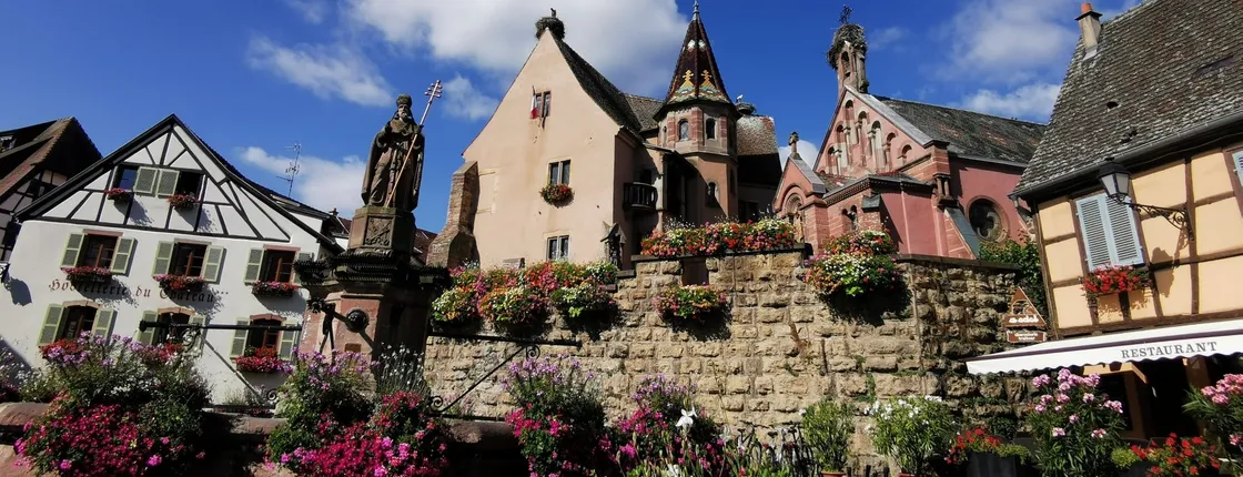 Half-day afternoon tour of Alsace villages and wine tasting