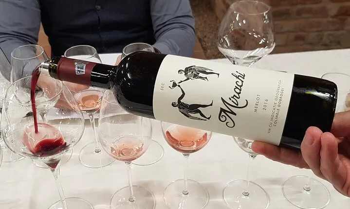 Day Tour: Visit Histria Winery and Ancient Citadel