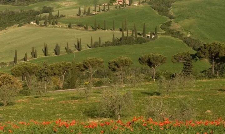 From Florence to Tuscany Winerys