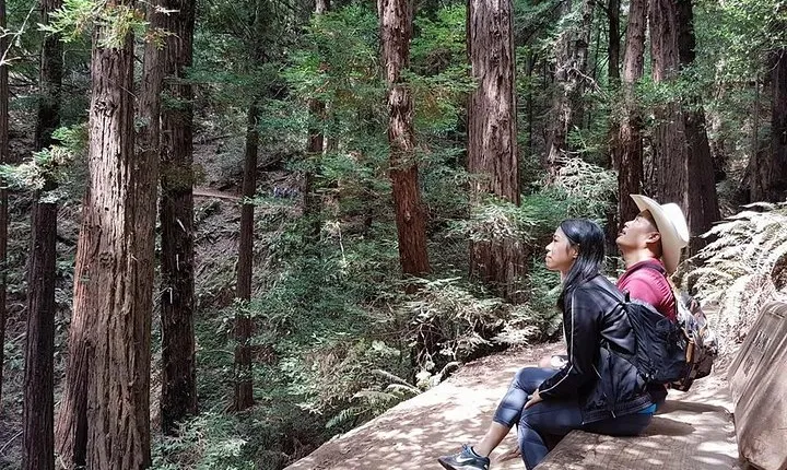 San Francisco: Guided Muir Woods Tour & Hop-on Hop-off Bus Tour