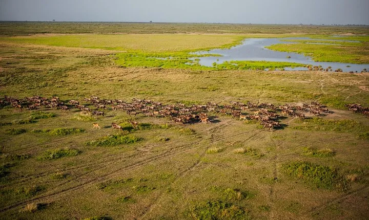 11 Days Tanzania Safari and Zanzibar Beach Tour