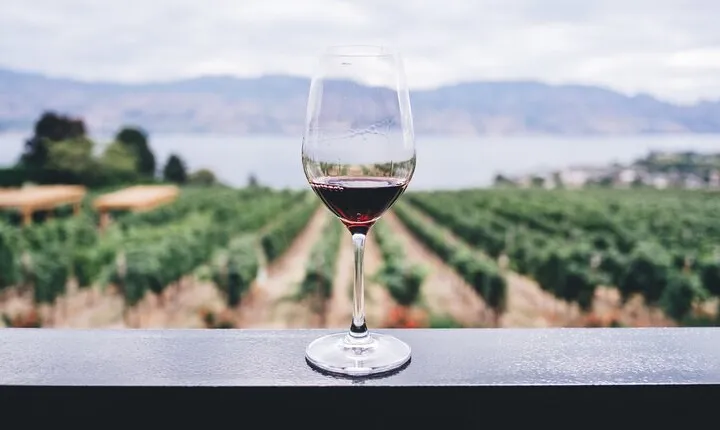 Private Nafplio Tour and Wine Tasting from Athens with Pick Up and Drop Off