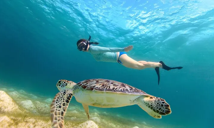 Abu Dabbab Beach Full Day Trip with Turtles