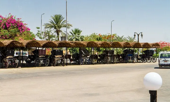 Sunset Horse Carriage Ride in Luxor