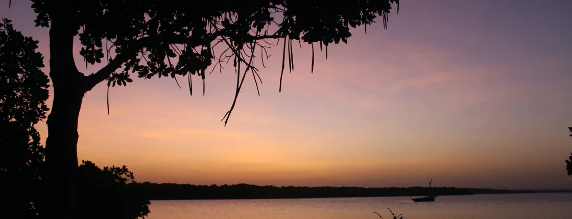 Mida Creek Boat Ride and Snorkeling at Watamu Marine Park