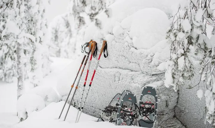 Rovaniemi Insider: Arctic Snowshoeing Adventure