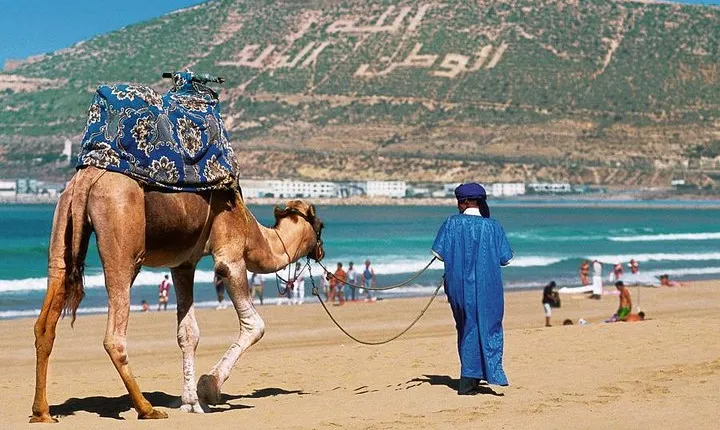 Agadir City Discovery in 3 Hours With Pick up and Drop off