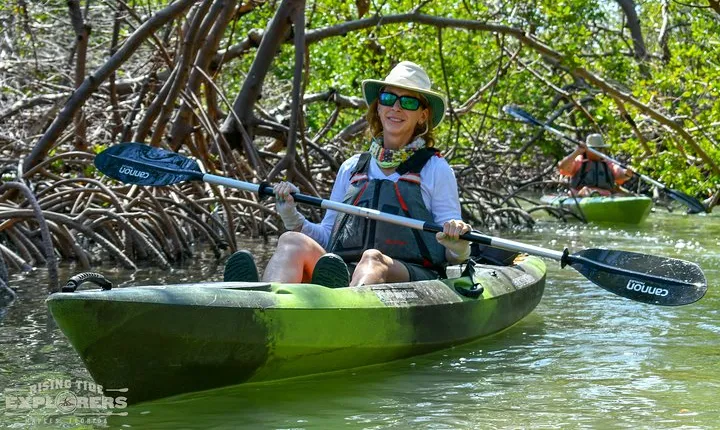 Mangrove Tunnels & Mudflats Kayak Tour - Local Biologist Guides