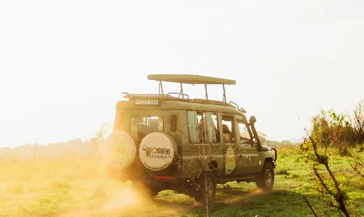 10-Day Predators Tanzania Safari Luxury Package