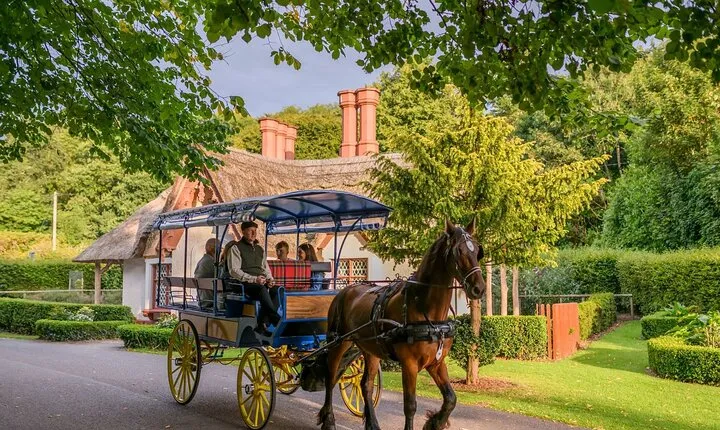 Killarney Jaunting Car Tour- Park to Castle