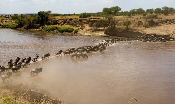 5 Days Safari Camping Tour