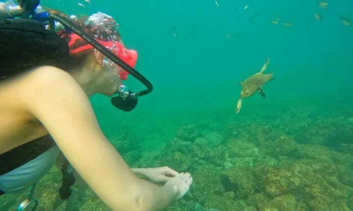 From Abu Dhabi: Try Diving experience and Snorkeling in Fujairah