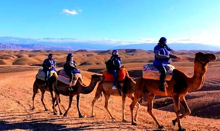 Atlas Mountains and Berber villages & Waterfalls with Camel ride