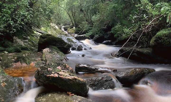 4-Day Private Tasmania Wilderness and Whiskey walks.