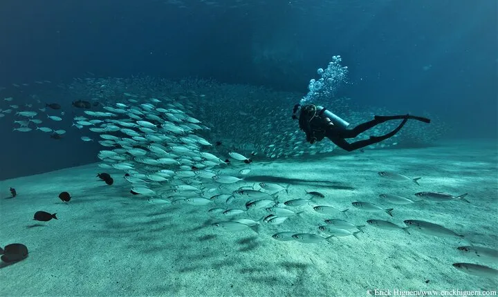 3 Tank Combo Cabo Reserve & Corridor, Certified Divers with MANTA