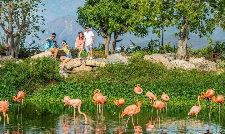 VinWonders Nha Trang Ticket: Skip The Lines - Save Time