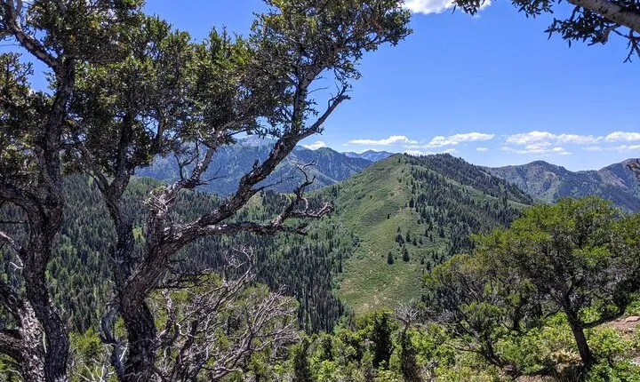 Park City Hiking Activity with Local Guide