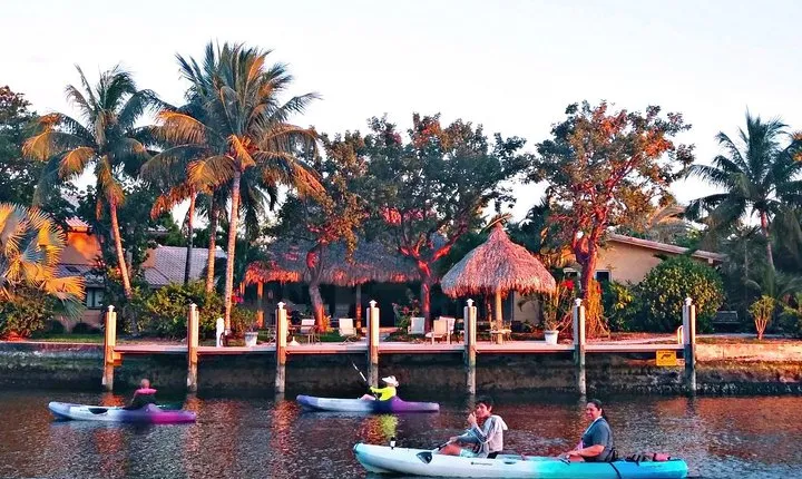 Kayak Rental: Explore Mangroves and Self-Navigated River Eco Paddle