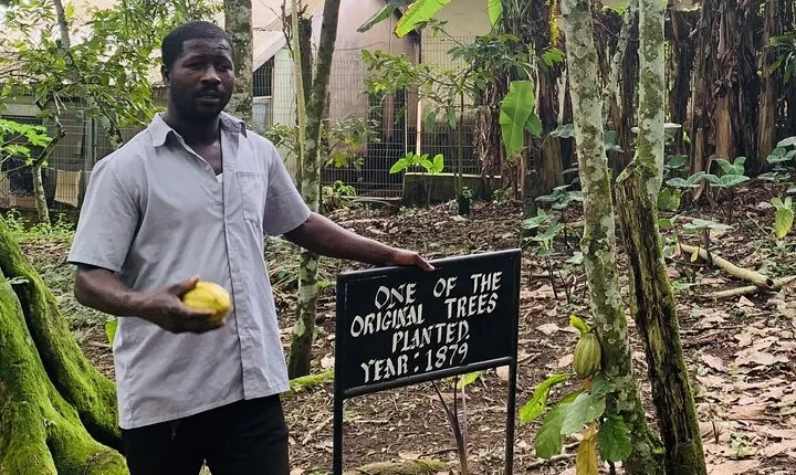 Boti Waterfall, Aburi Gardens, Cocoa Farm: A Eastern Ghana Tour
