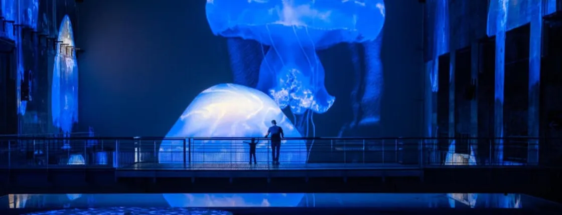 Entrance Ticket for Les Bassins des Lumières Art Center in Bordeaux