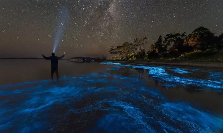 Florida Bioluminescent Kayak & Paddle Board Adventure 
