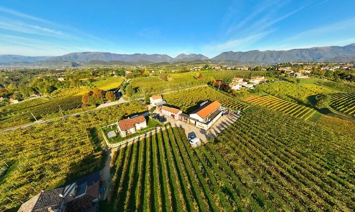 Tour and 3 wines tasting in the Prosecco Hills