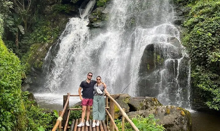 ChiangMai 1DayTour:Elephant Sanctuary,king&queen pagoda,waterfall