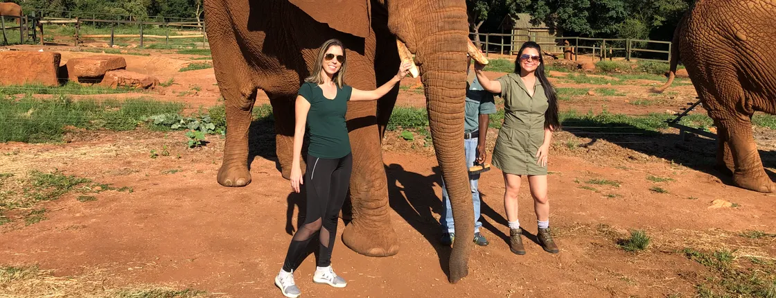 Elephant Sanctuary Tour from Johannesburg