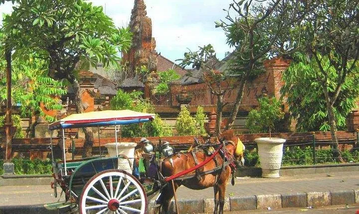Discover Bali : Shore Excursion from Benoa Port with Free Wi-Fi