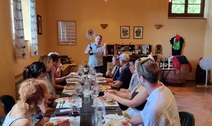 Chianti: Wine Tour & Tasting in Tuscany near San Gimignano