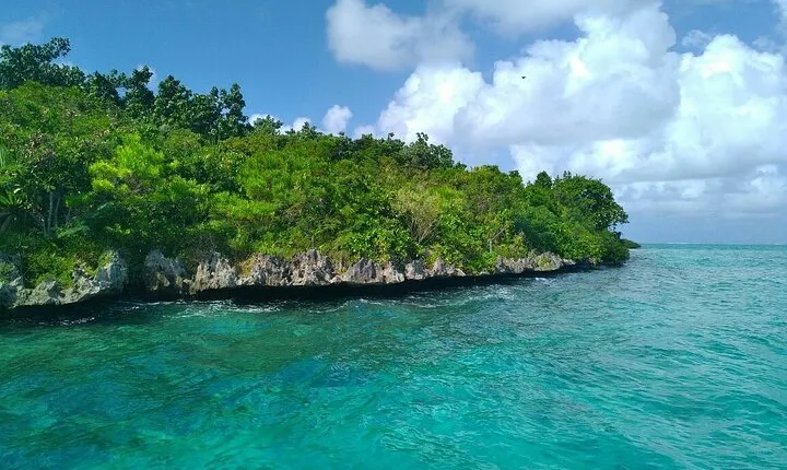 The Discovery East Tour: incl Crocodile park, visit to Ile Aux Aigrettes & Lunch