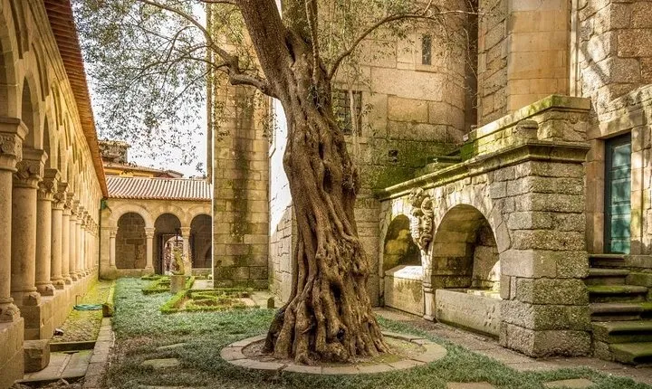 Cultural Route - Braga & Guimarães - from Porto