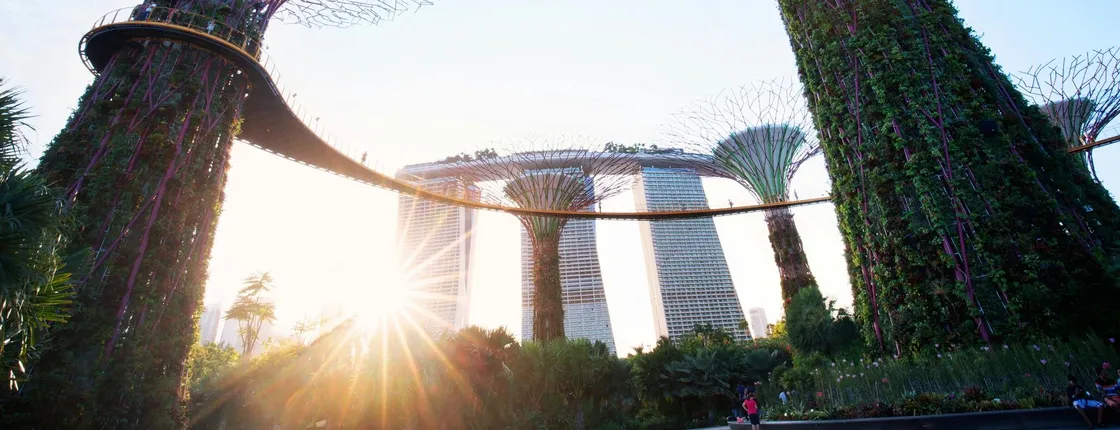 Gardens by the Bay Tour with Supertrees, Flower Dome and Cloud Forest