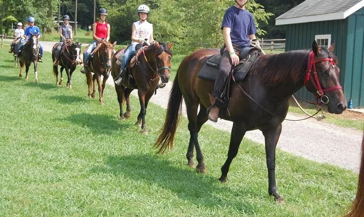 Horse Riding Tour in Bodrum with Roundtrip Transfer