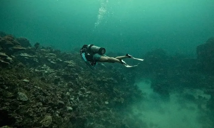 Explore Shipwrecks and Reefs in the Caribbean