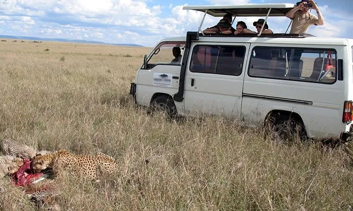 2 Days Tsavo East Safari from Diani Beach Mombasa( Minimum 2 Pax)
