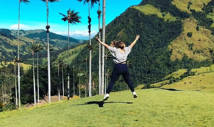 Salento Valle del Cocora and Filandia